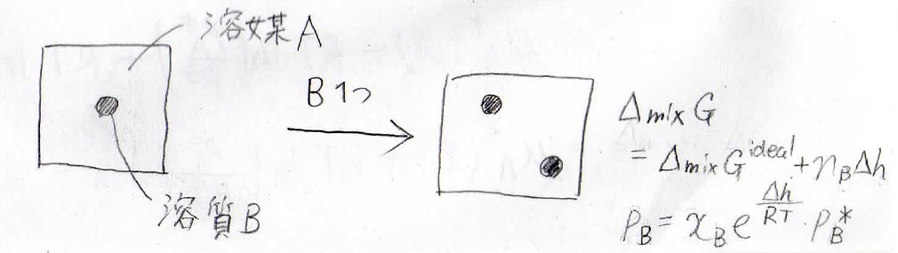 【大学の物理化学】理想溶液と理想希薄溶液の定義と性質(ラウールの法則、ヘンリーの法則)について、わかりやすく解説！ – ばけライフ